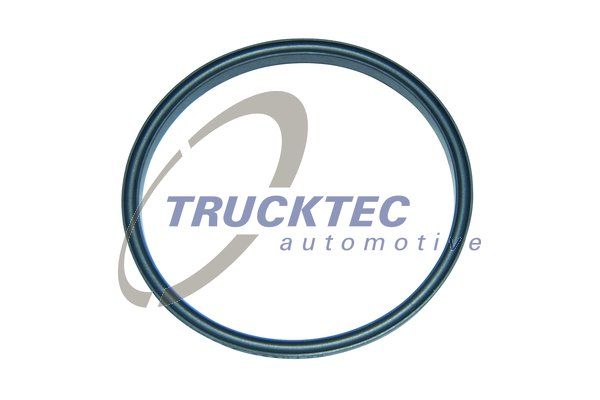 TRUCKTEC AUTOMOTIVE Прокладка, топливный насос высокого давления 01.13.068